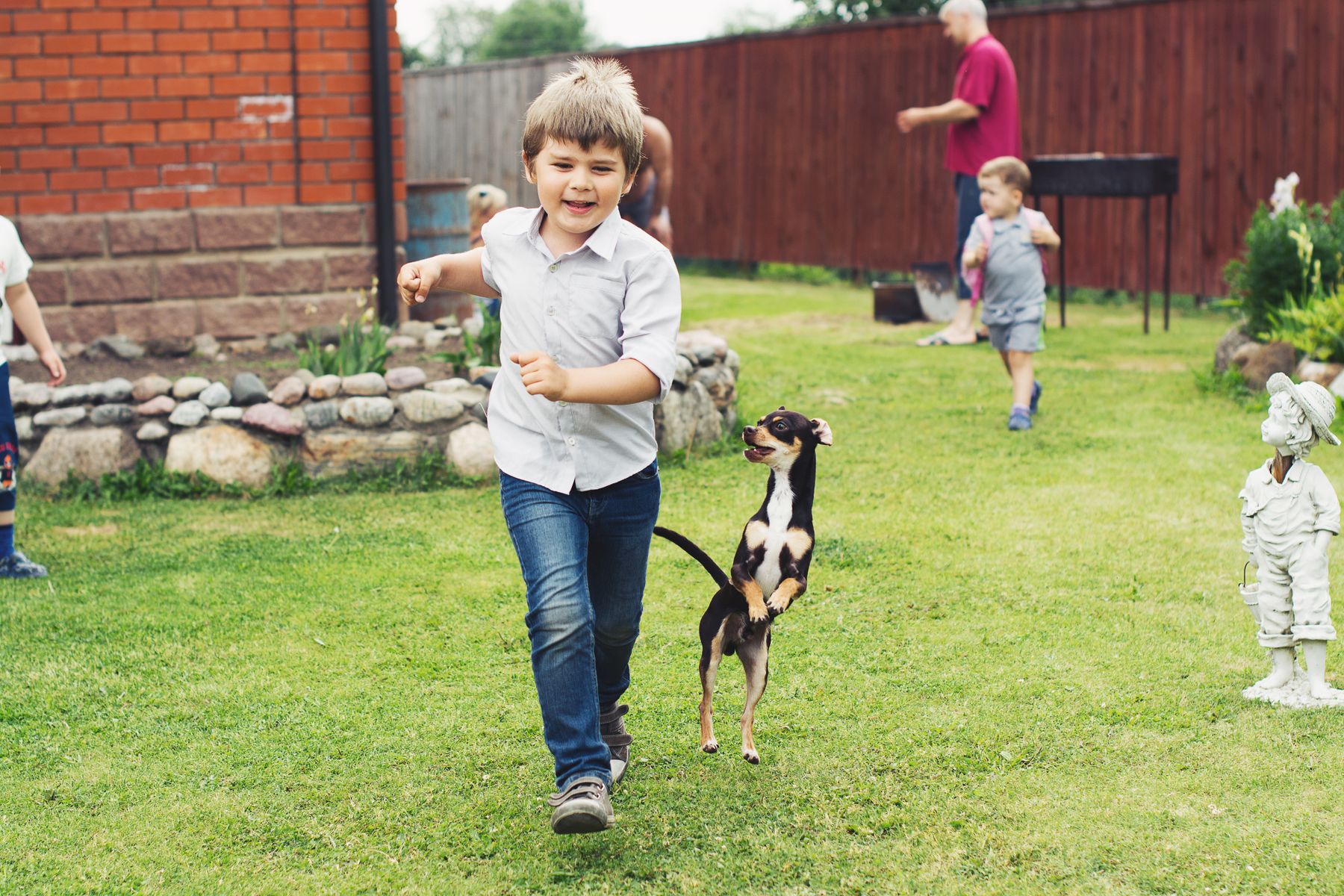 A child and dog playing in a clean residential backyard
